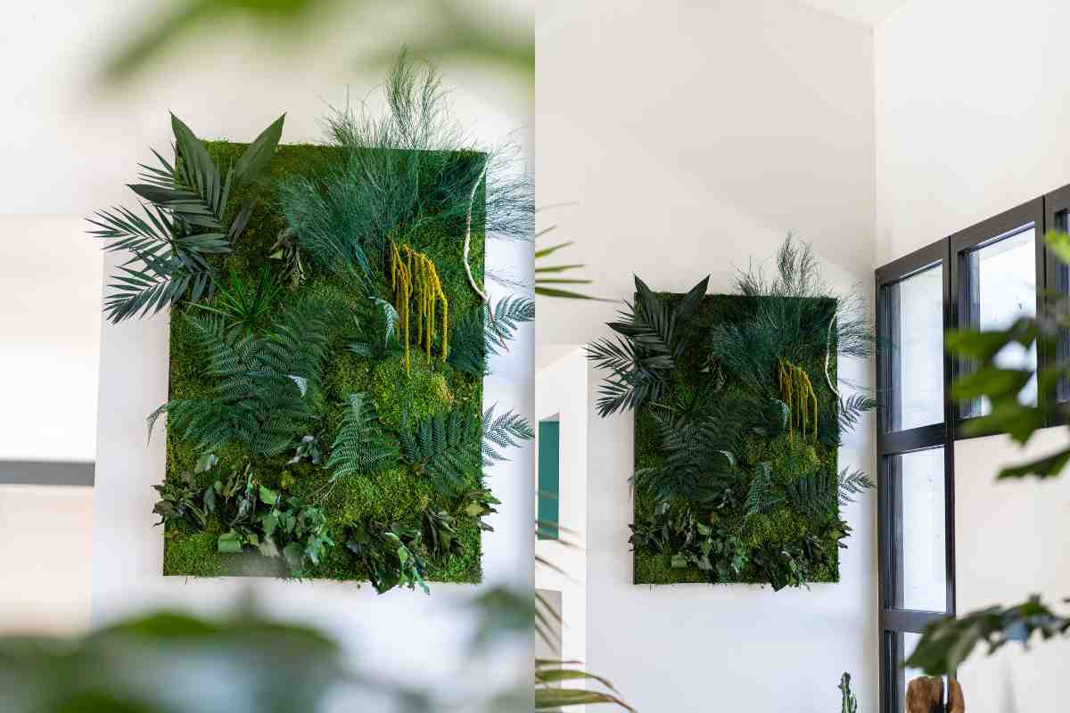 quadri con piante stabilizzate appesi al muro