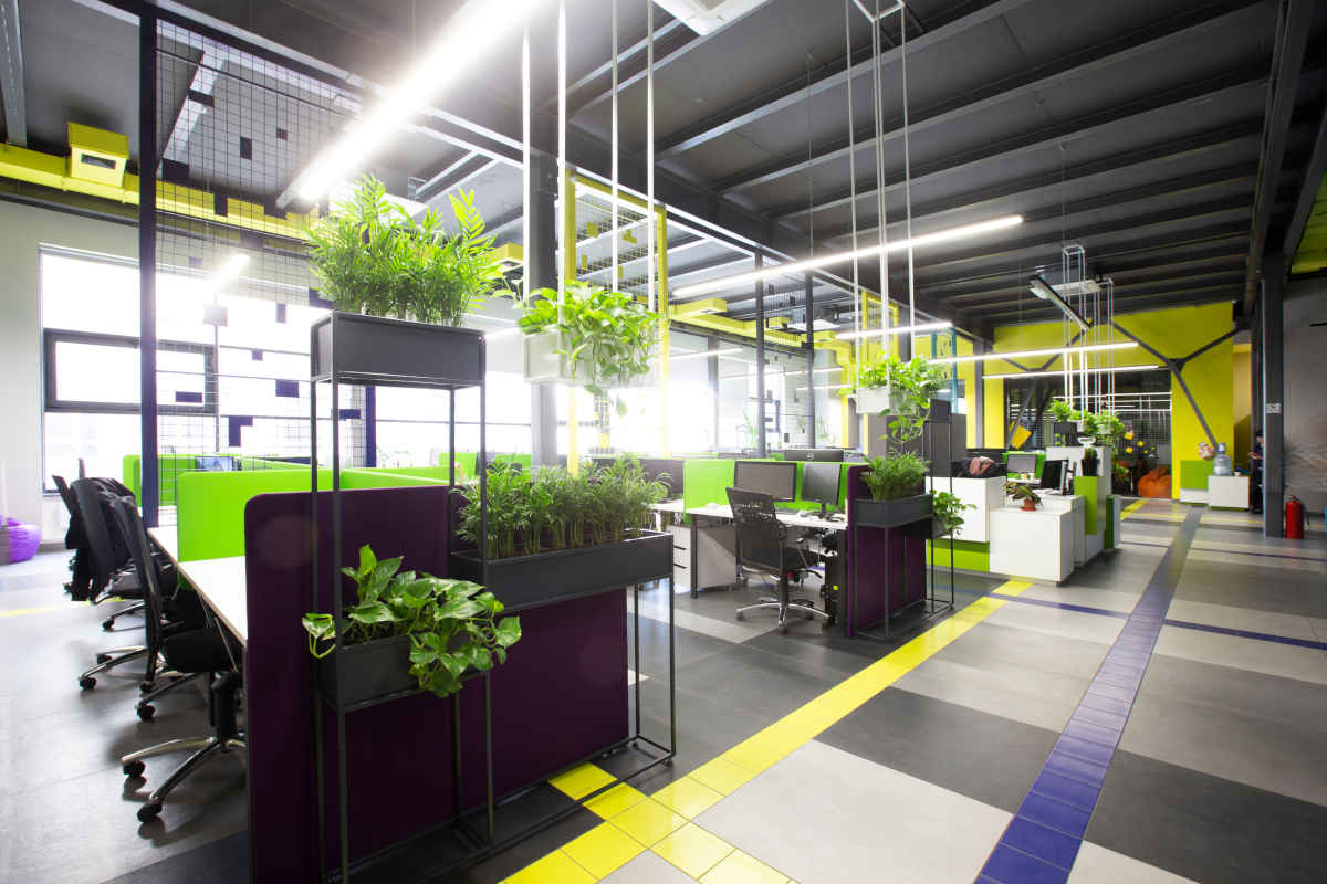 sala ufficio open space con piante