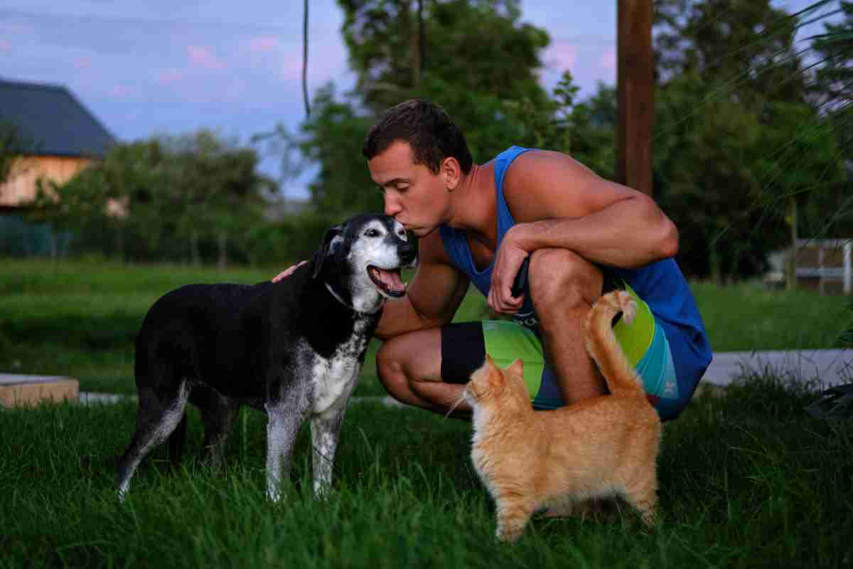 uomo bacia un cane con vicino un gatto in un giardino