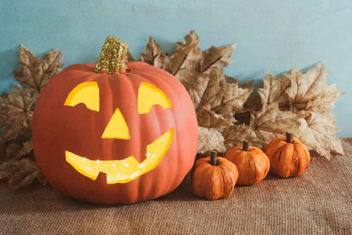 zucca grande per halloween intagliata ed illuminata, con tre zucche piccole, con foglie marroni sullo sfondo