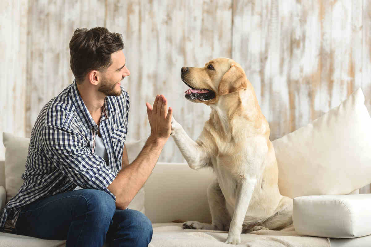 uomo e cane su divano in stile barkitecture