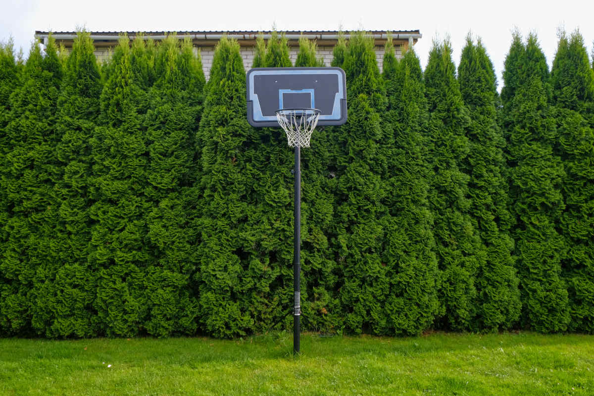 Canestro da basket in giardino: come scegliere, prezzo, come montarlo