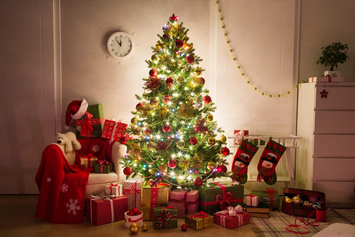 Come addobbare l’albero di Natale: la guida per farlo perfetto