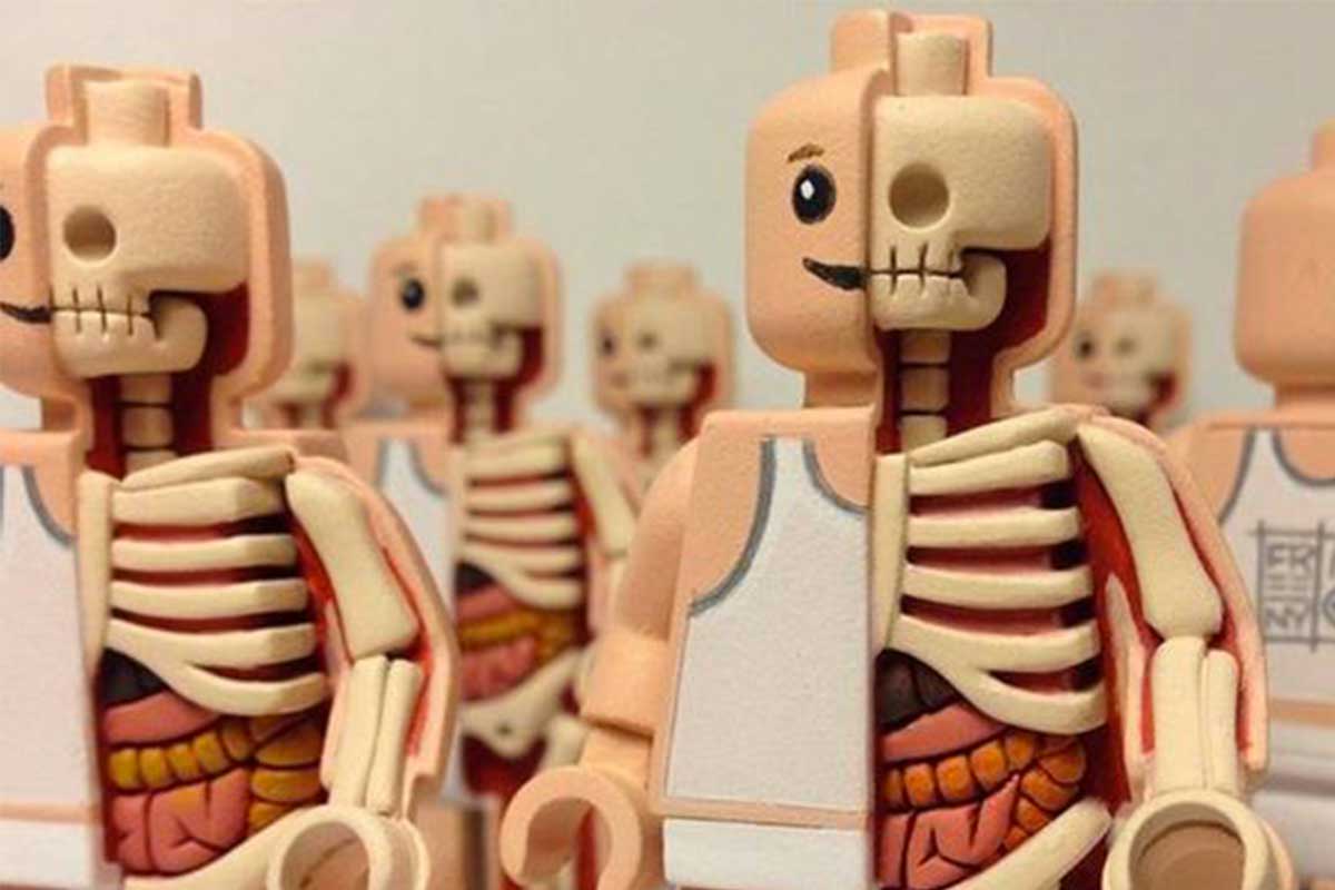 sculture-omini-lego anatomia jason feeny