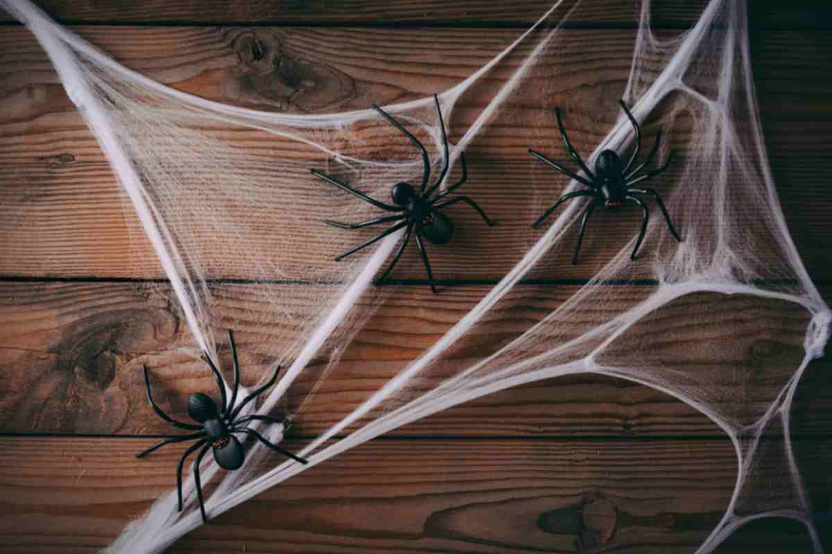 ragnatele di halloween e ragni di gomma su un tavolo di legno