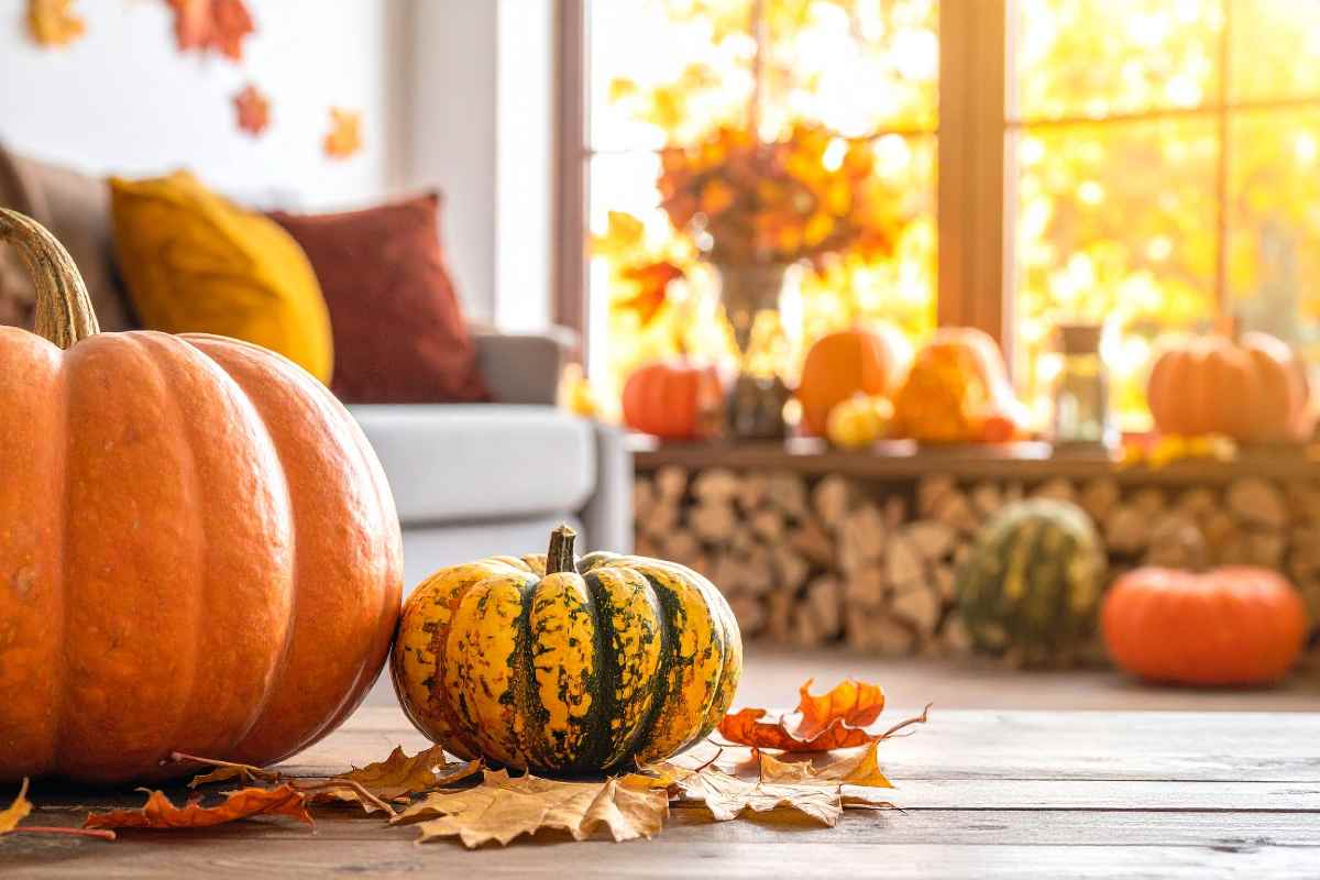 zucche in primo piano e finestre con decorazioni autunnali in secondo piano