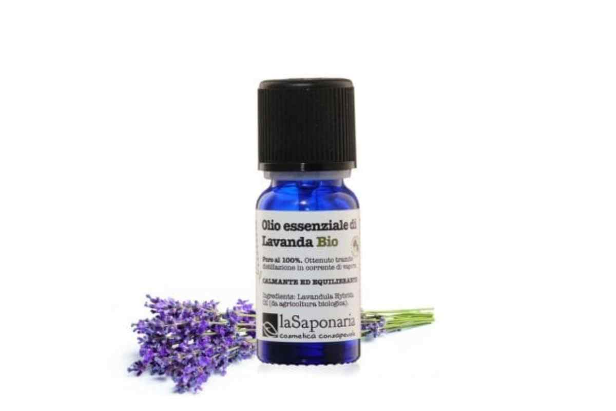 Olio essenziale La Saponaria