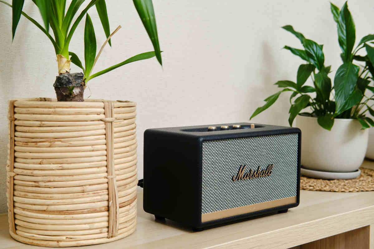 mobile con piante e cassa marshall per la musica