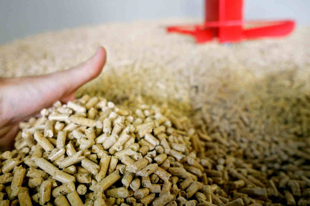 mano affonda in pellet di legno per stufe a pellet senza canna fumaria