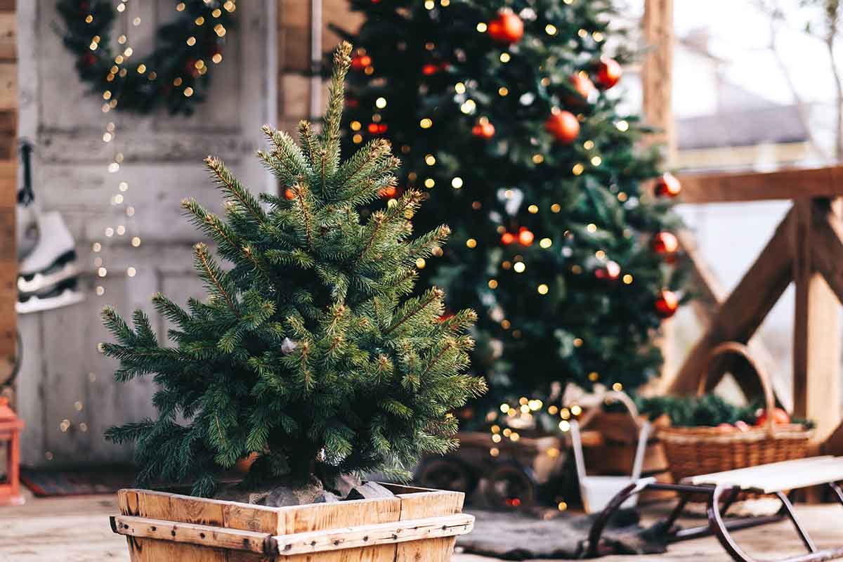 alberi di Natale da esterni su portico