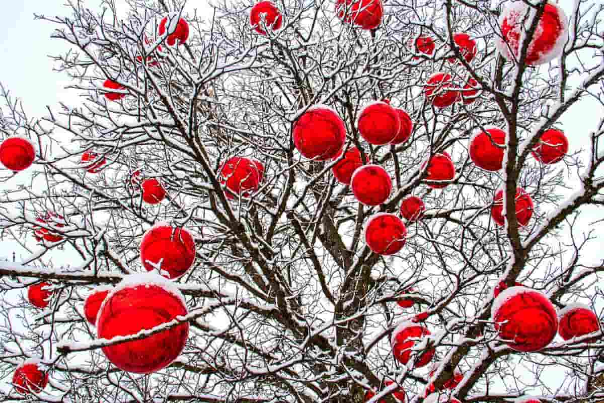 albero di natale privo di foglie con neve sui rami, decorato con palline di natale di colore rosso