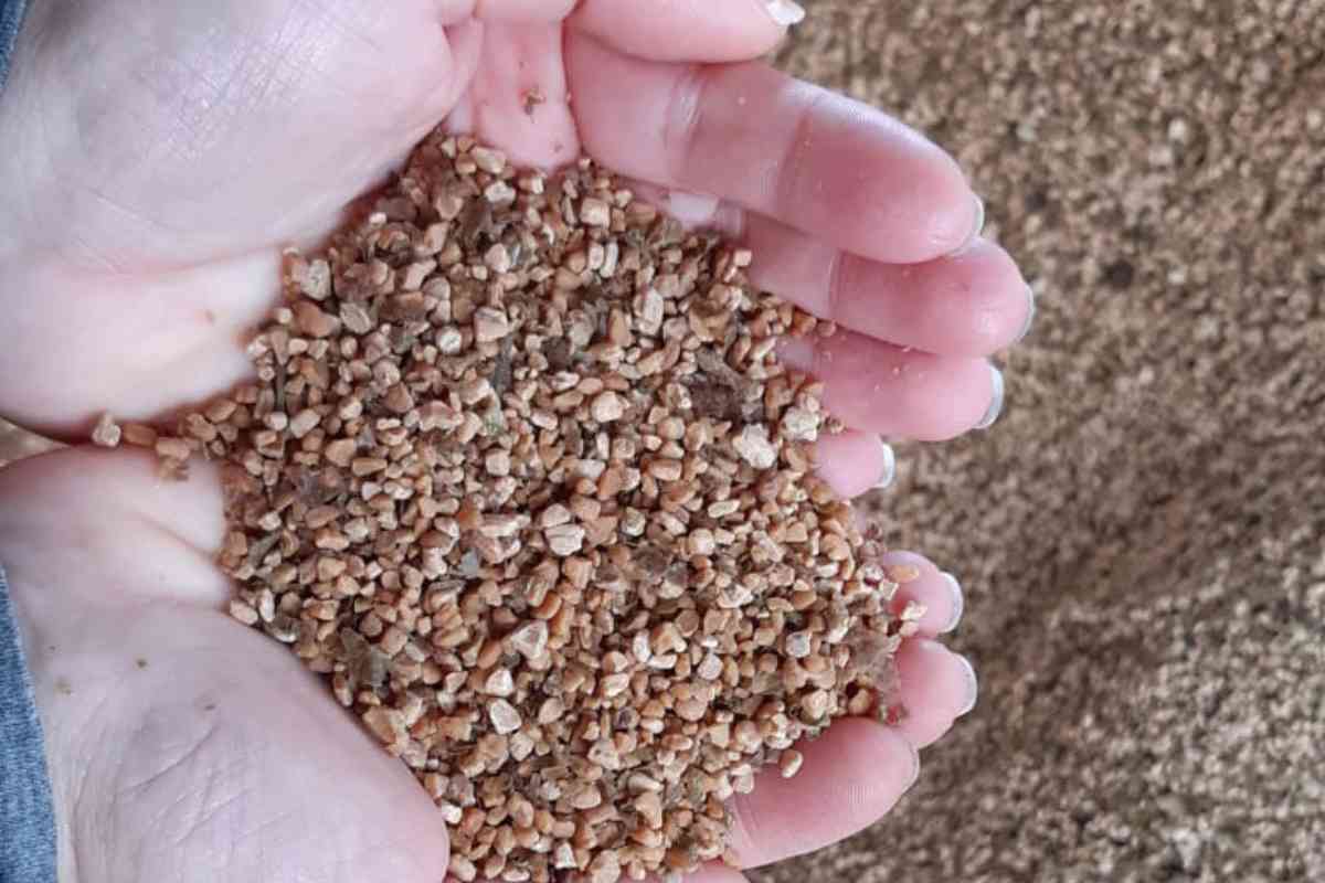 mani tengono nocciolino per stufe a pellet