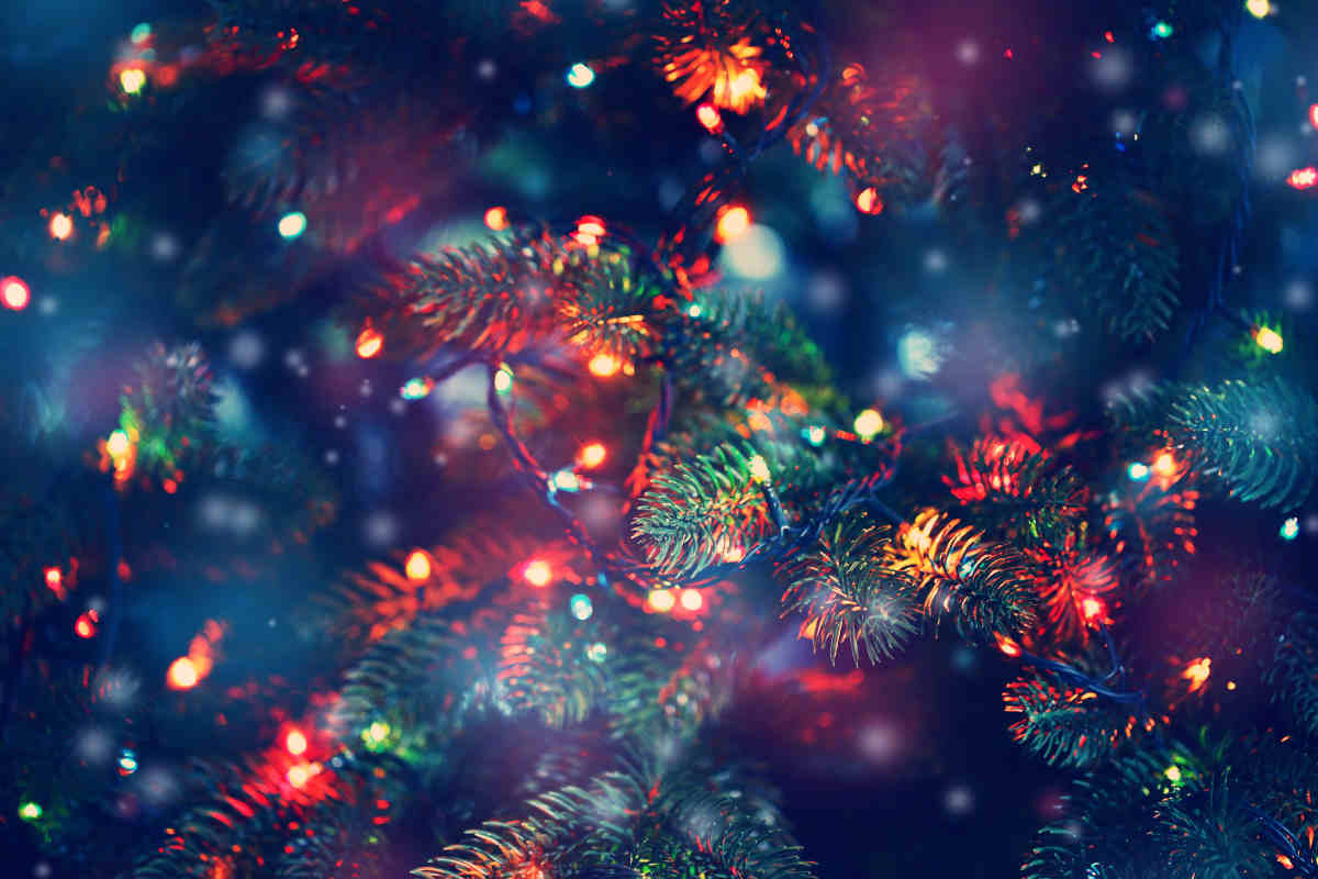 Caro energia: quanto incidono le luci dell’Albero di Natale?