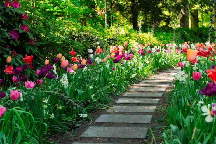 Vialetto di mattonelle in mezzo al giardino con agli angoli dei tulipani colorati