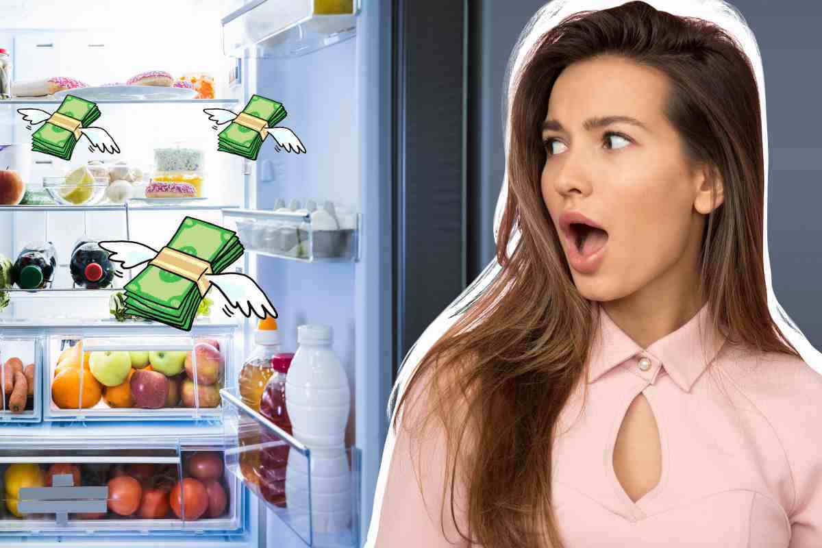 Ti sconvolgerà sapere che questa cattiva abitudine fa si che il frigorifero consumi di più