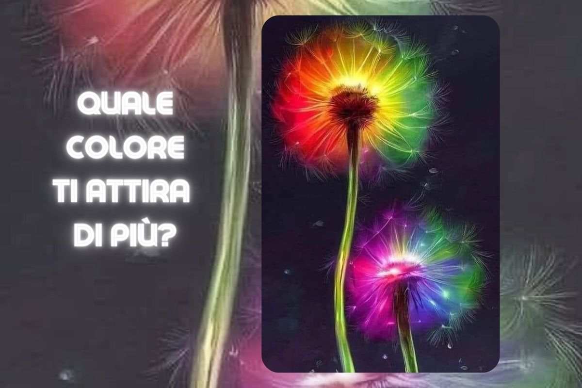 Scegli il colore che ti attira di più e scopri chi sei davvero: rimarrai senza parole