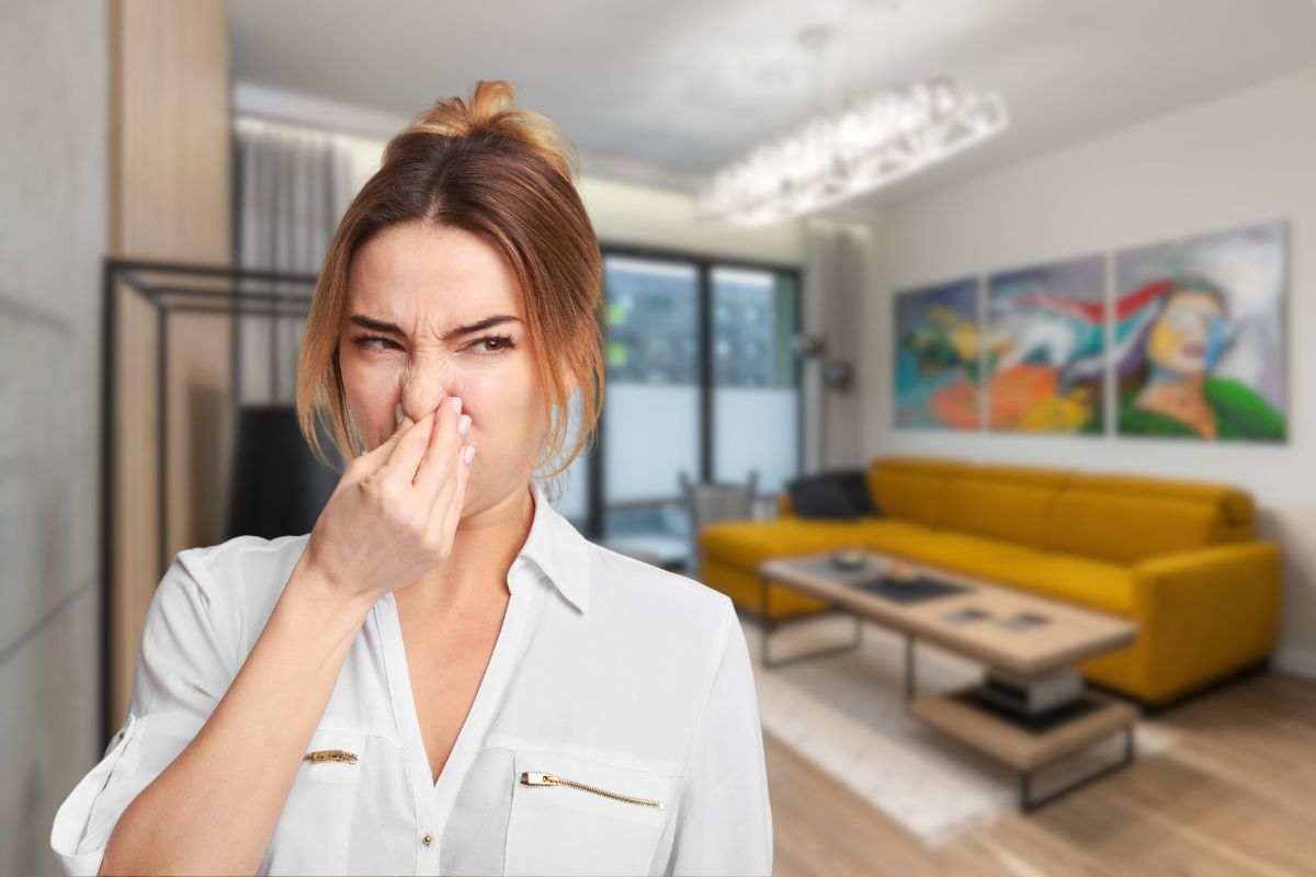 Finalmente risolverai i problemi legati ai cattivi odori che invadono la tua casa: cosa ti serve