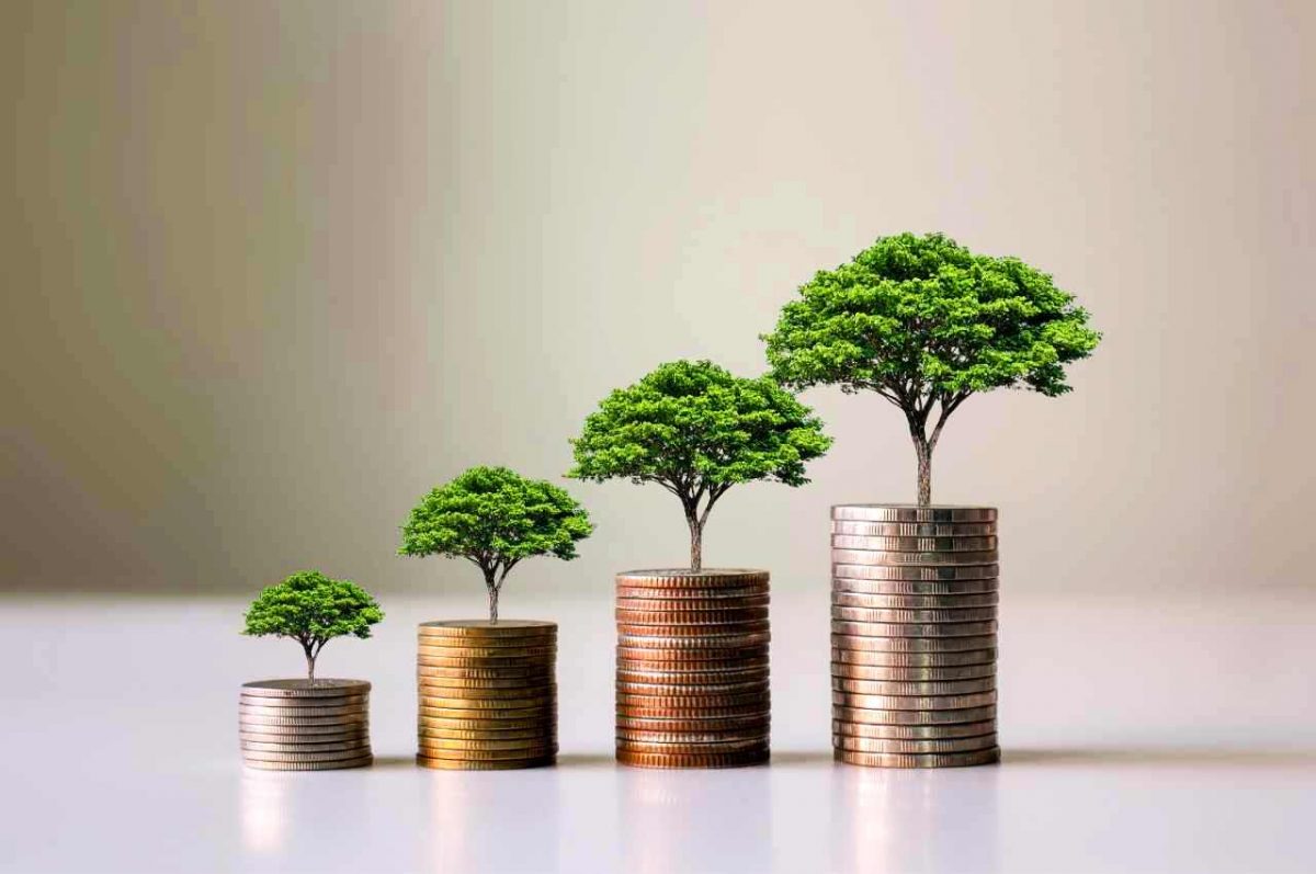 investimento green su case eco-friendly che rende