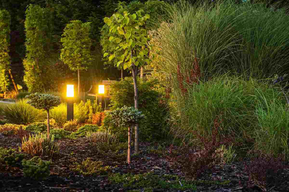 Lidl illumina il giardino in modo ecologico ed economico con queste lampade  solari (a meno di 12 euro)