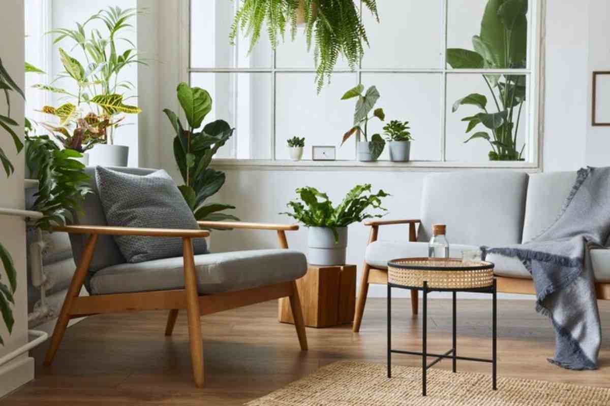 piante perfette arredare casa