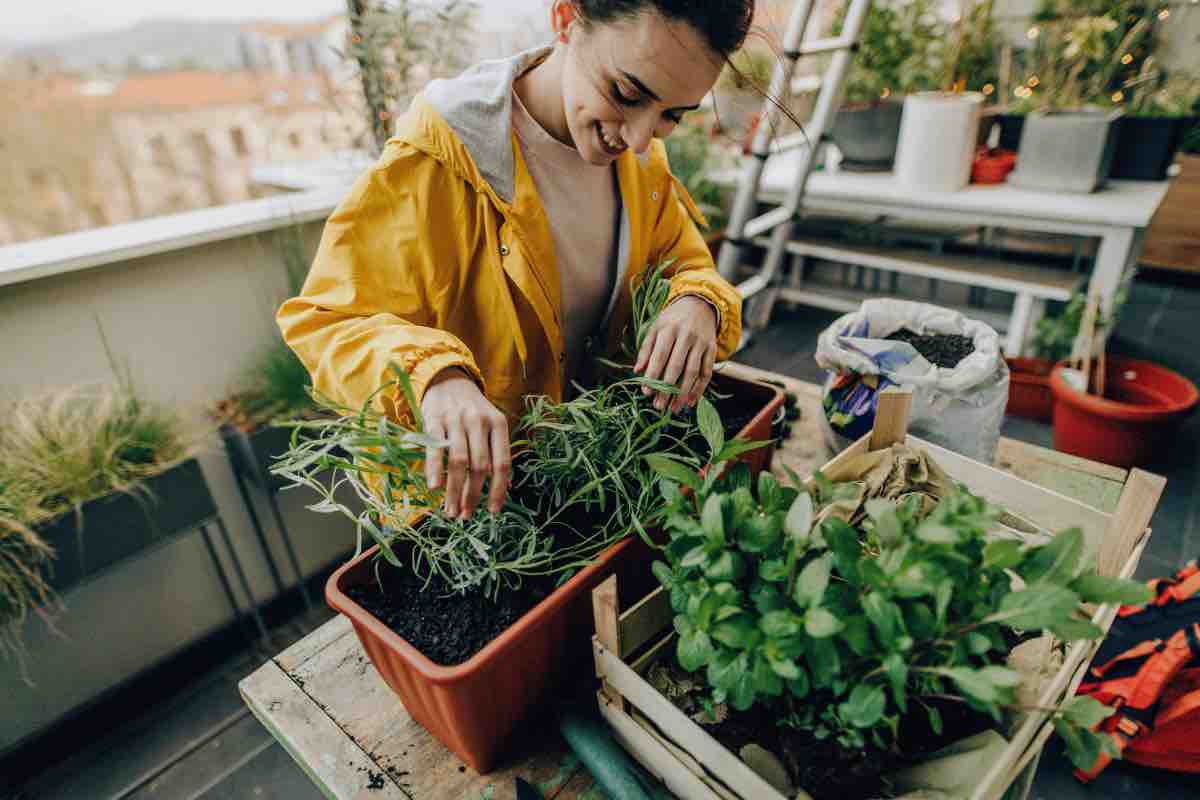 Piante da balcone che non sporcano ed hanno bisogno di poca acqua