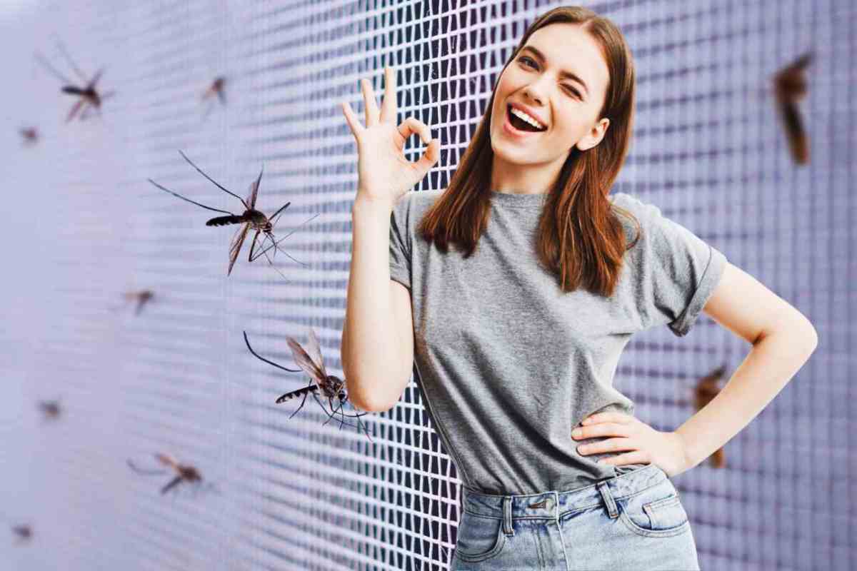 Zanzare addio: zanzariera a prezzo record arriva al supermercato, un vero affare
