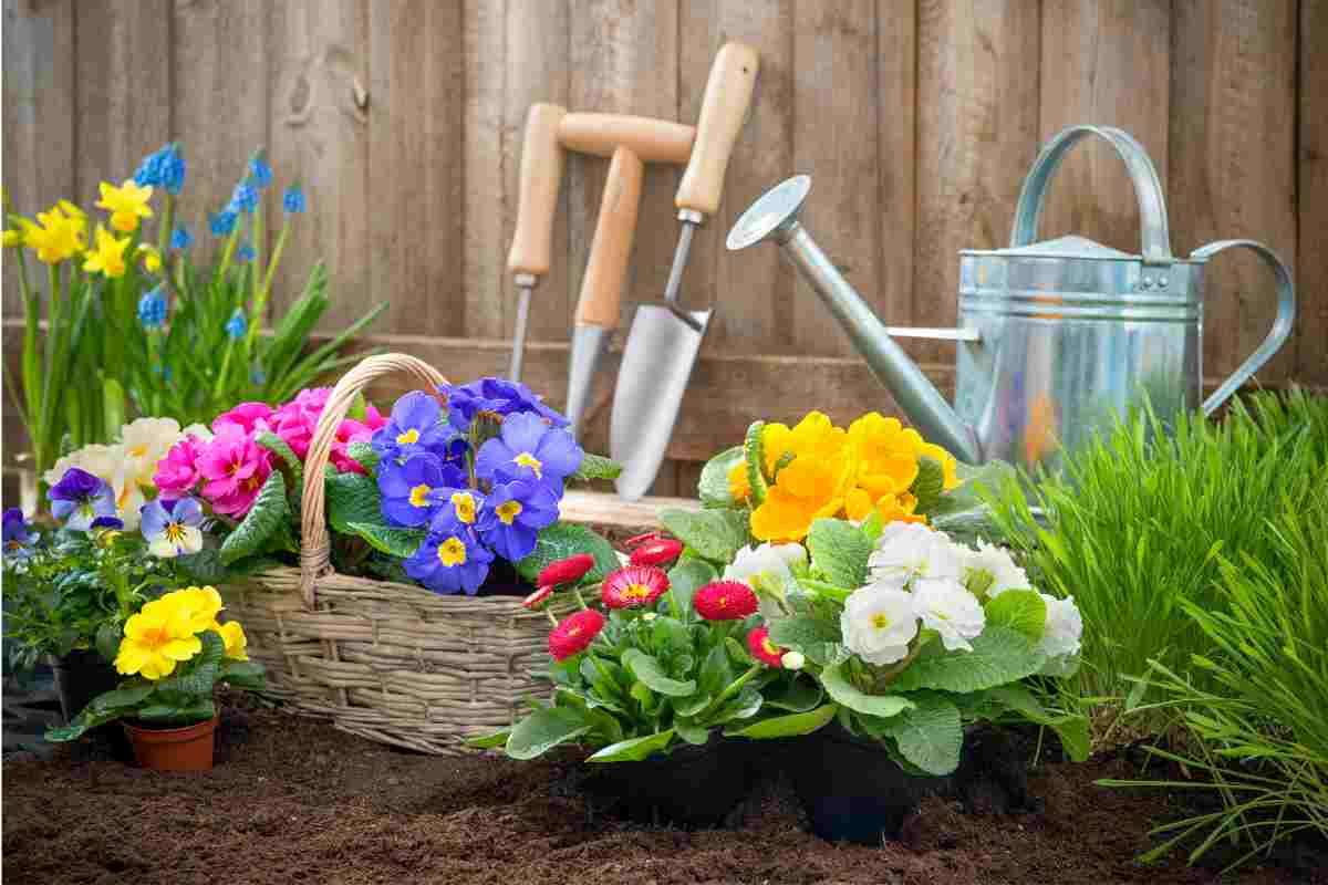 Idee economiche per decorare giardino