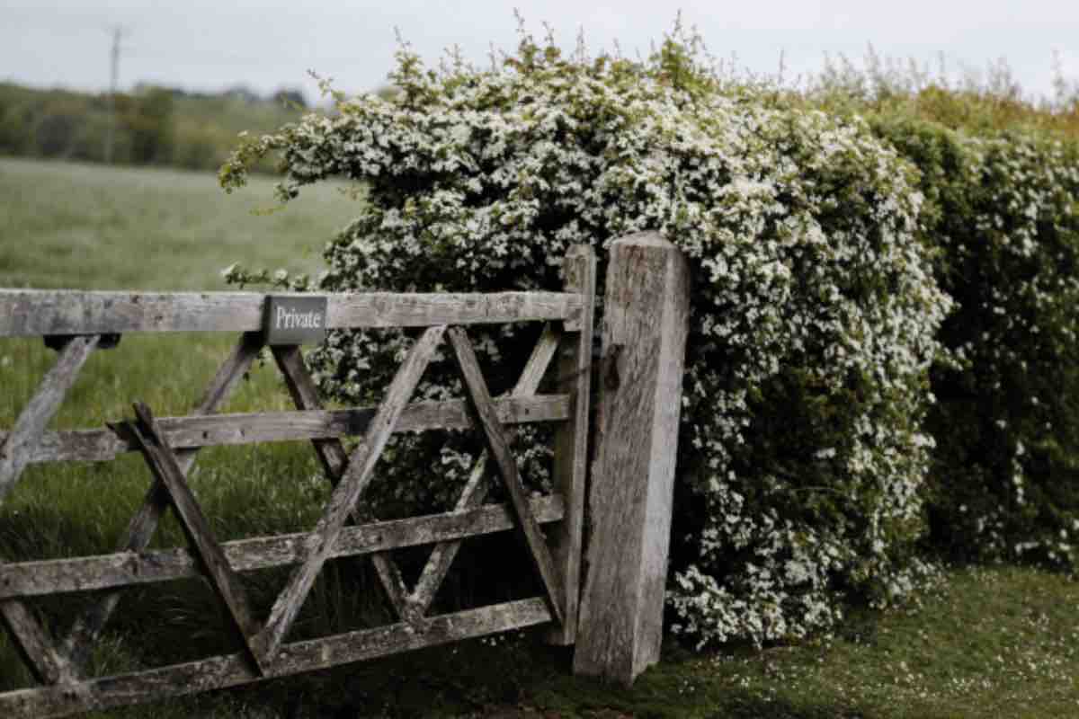 Cancello per il giardino, crealo così