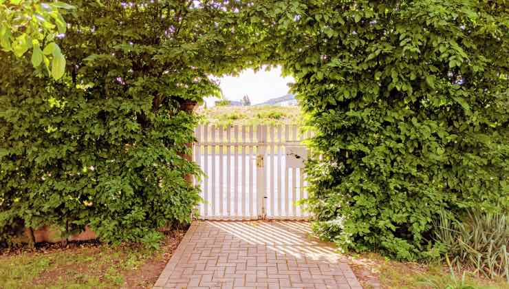 Alcune idee per un cancello per il giardino fai da te