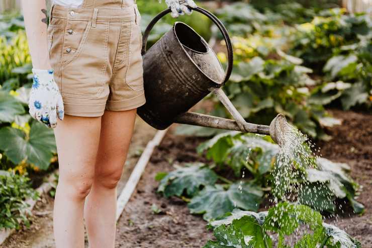 Errore giardino soluzione