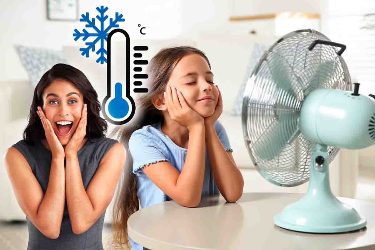 freddo e ventilatori, i metodi per combattere il caldo senza spendere troppi soldi con il condizionatore