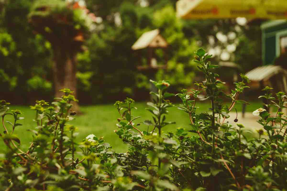 Alcuni consigli di arredamento per il tuo giardino d'estate