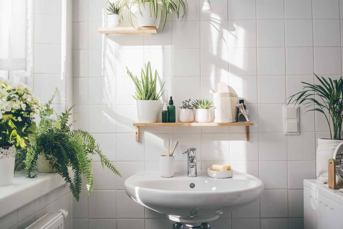 Arredare bagno con piante