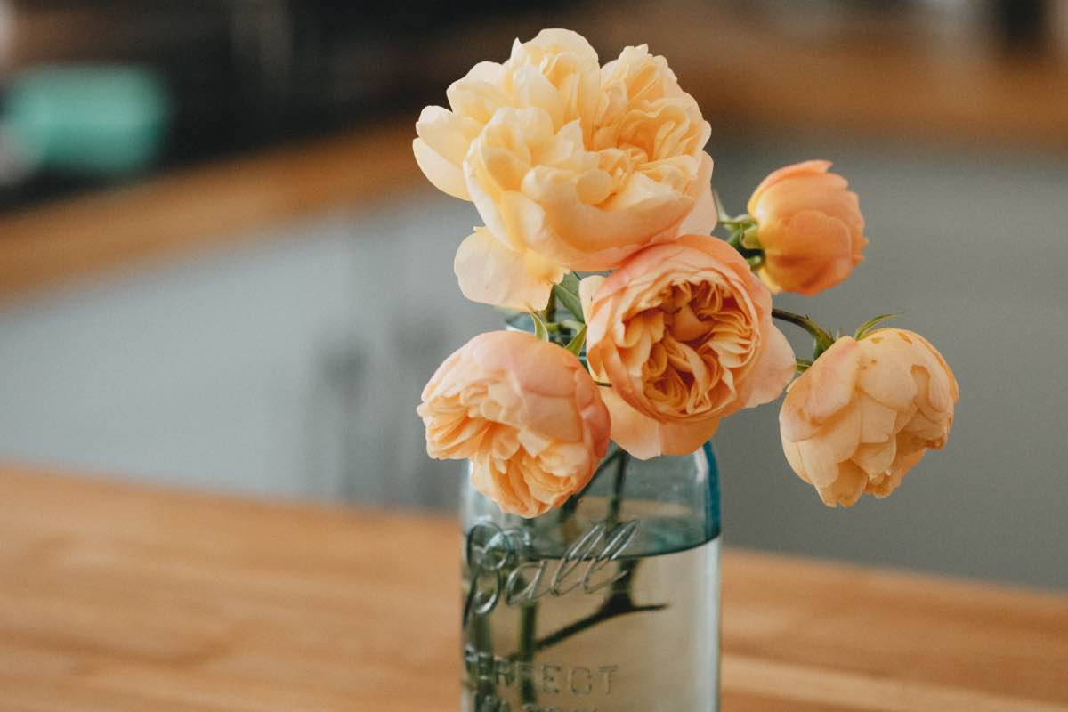 Vuoi un vaso di design per i fiori? Scegli questo di Seletti è il top