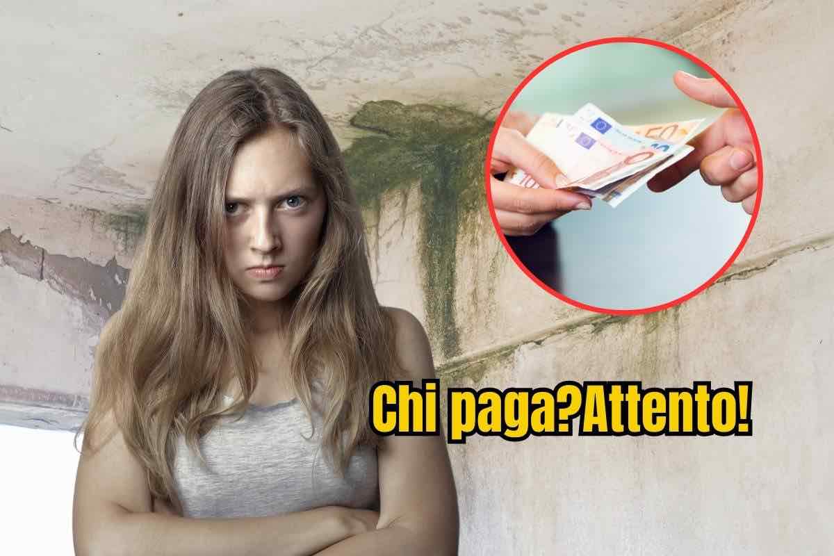 muffa in casa, chi paga le spese