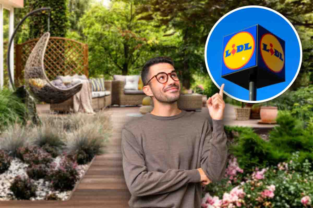 offerta lidl