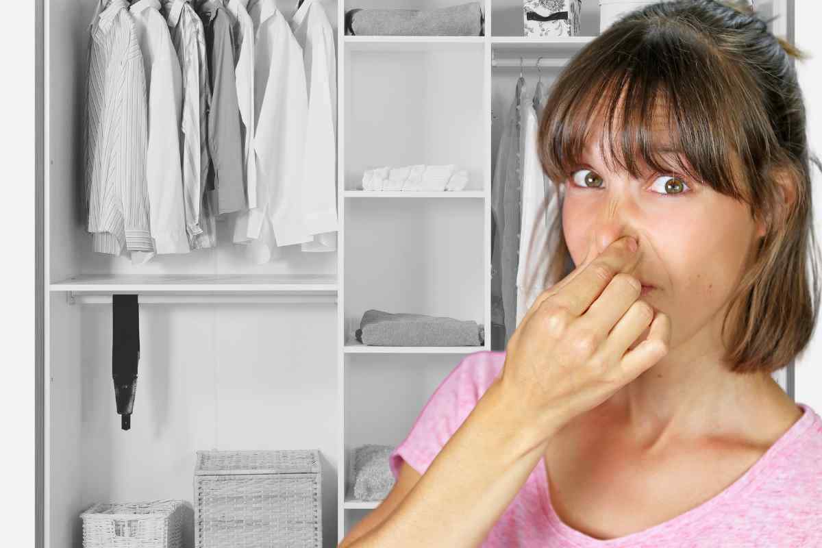 Come eliminare gli odori sgradevoli dall’armadio: 7 soluzioni naturali semplici da fare