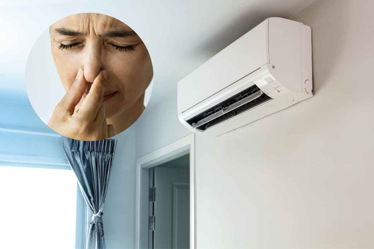 Bad smell from the air conditioner despite the intervention of the plumber: how do we really solve it?
