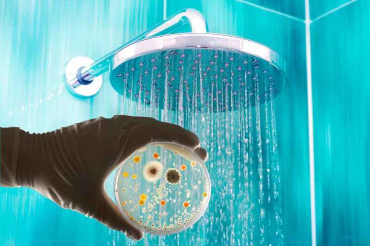 Pulisci la doccia più spesso: stai rischiando queste gravi malattie