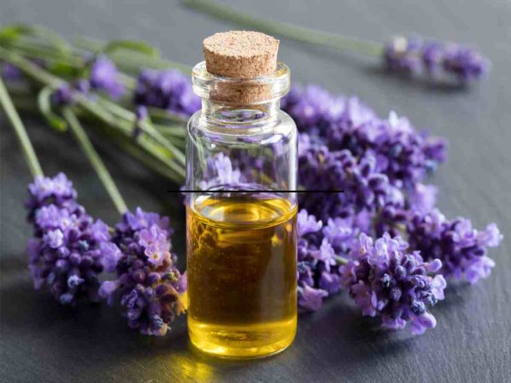 profumare gli armadi con la lavanda