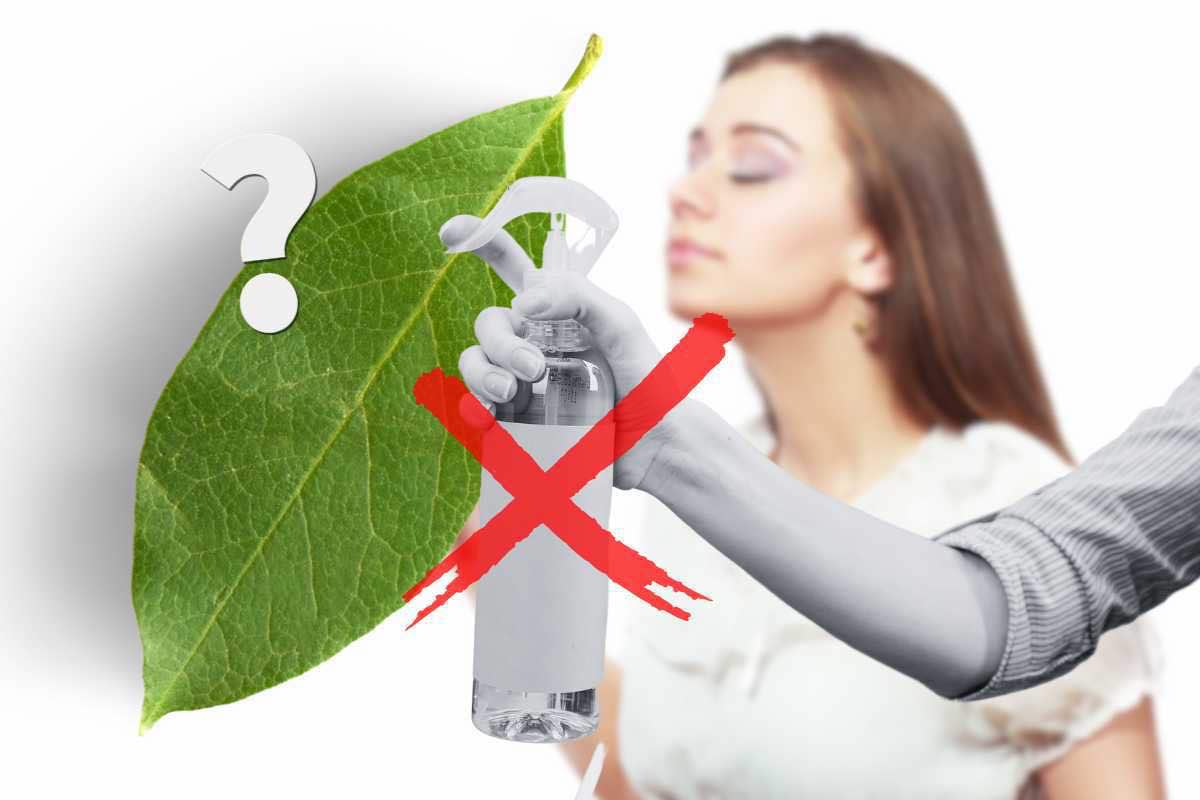 Casa profumata: lascia perdere oli e deodoranti e prendi queste 3 foglie