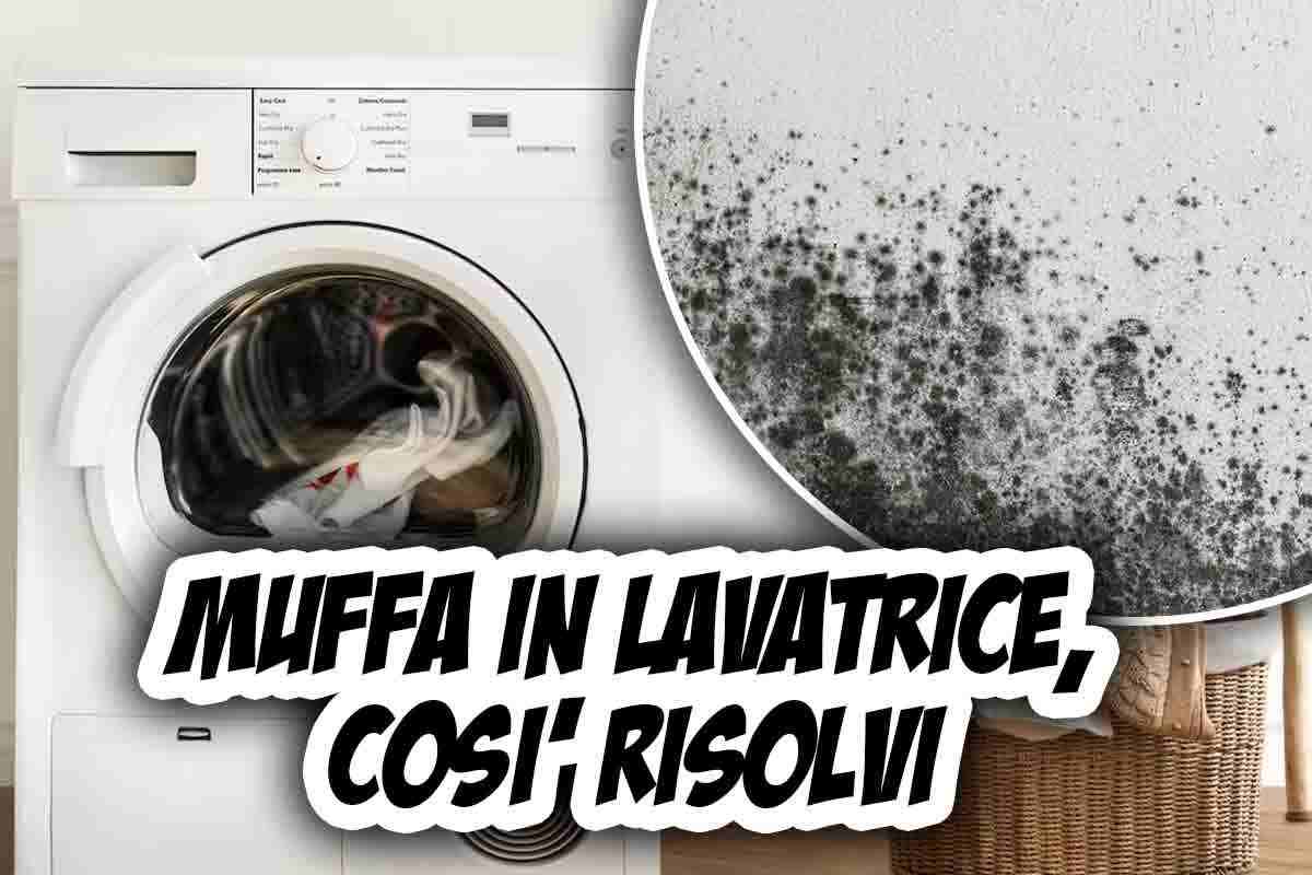 Muffa in lavatrice: 3 prodotti che risolvono il problema per sempre, costano pochissimo quasi quanto un caffè