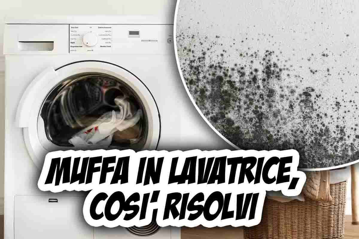 muffa lavatrice rimedi