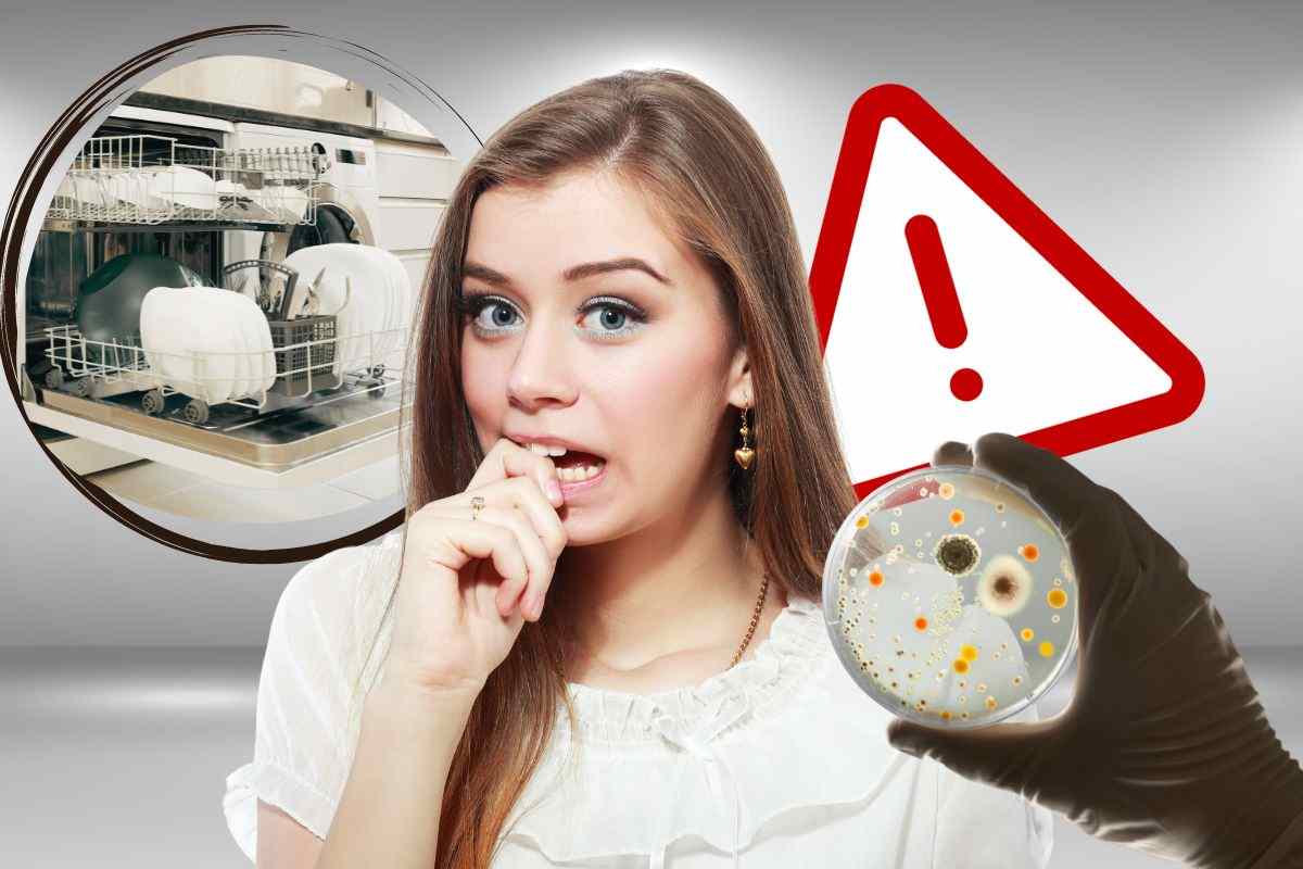 Lavastoviglie allarme batteri: pulirla con questo metodo