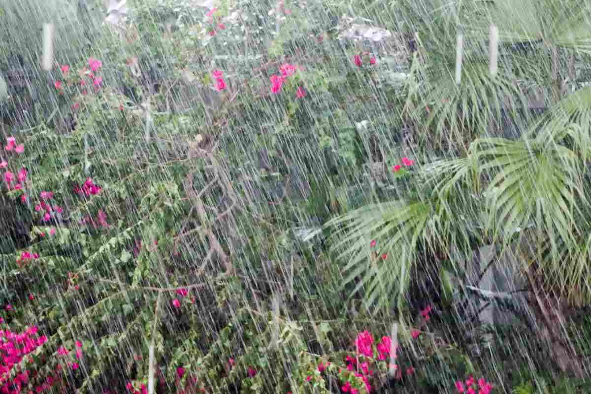 giardino colpito da nubifragio