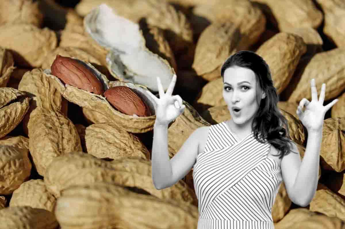 pellet arachidi per generare energia
