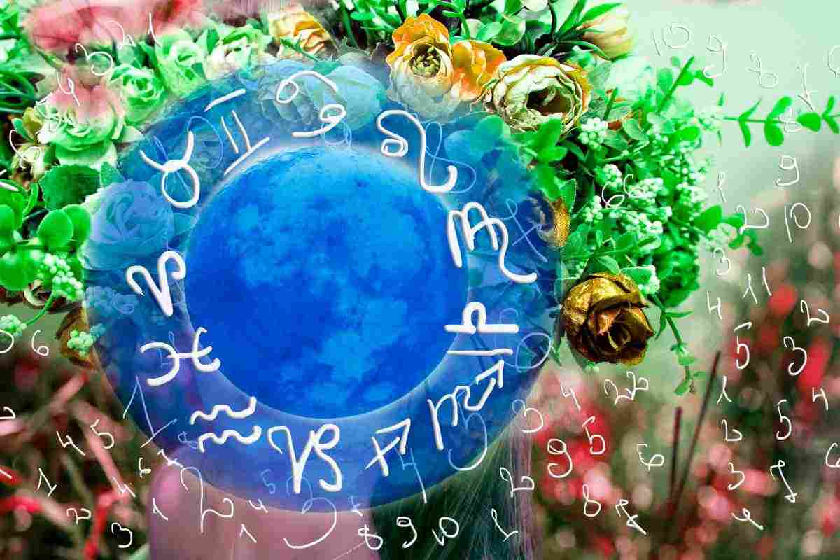 Tutti i 12 fiori dello zodiaco e i loro significati