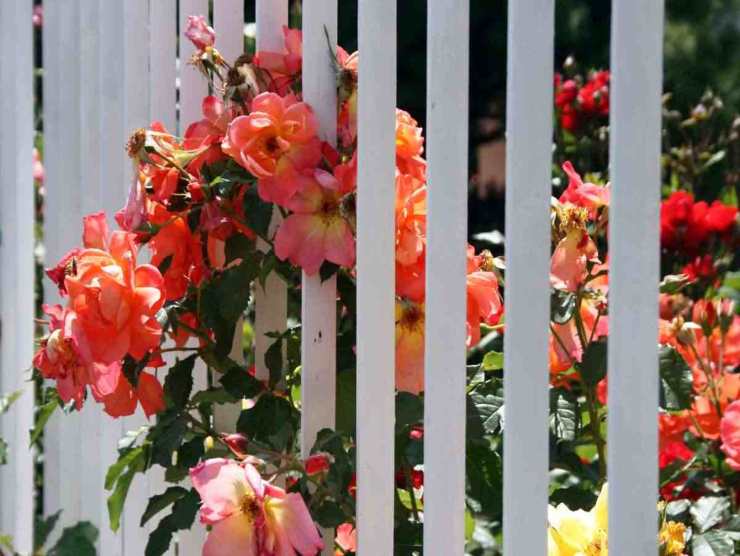 10 recinzioni da giardino