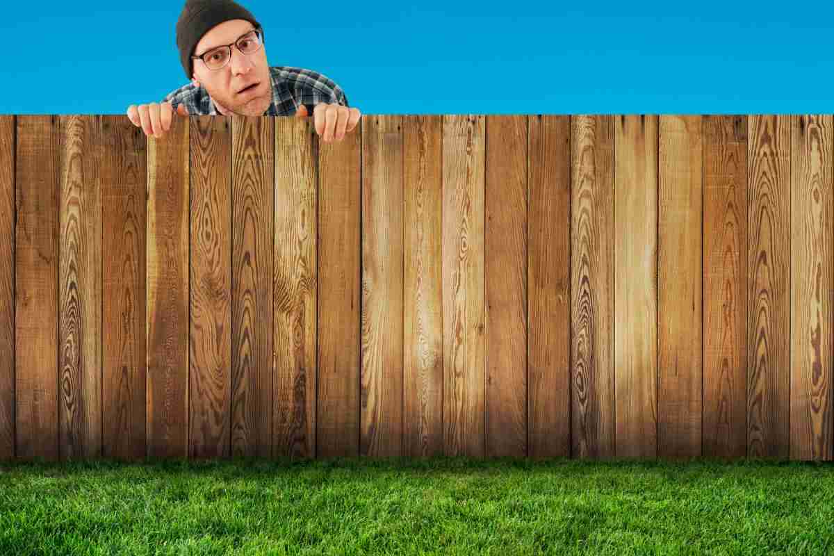 10 tipi di recinzioni che renderanno il tuo giardino davvero unico | Tutti lo noteranno
