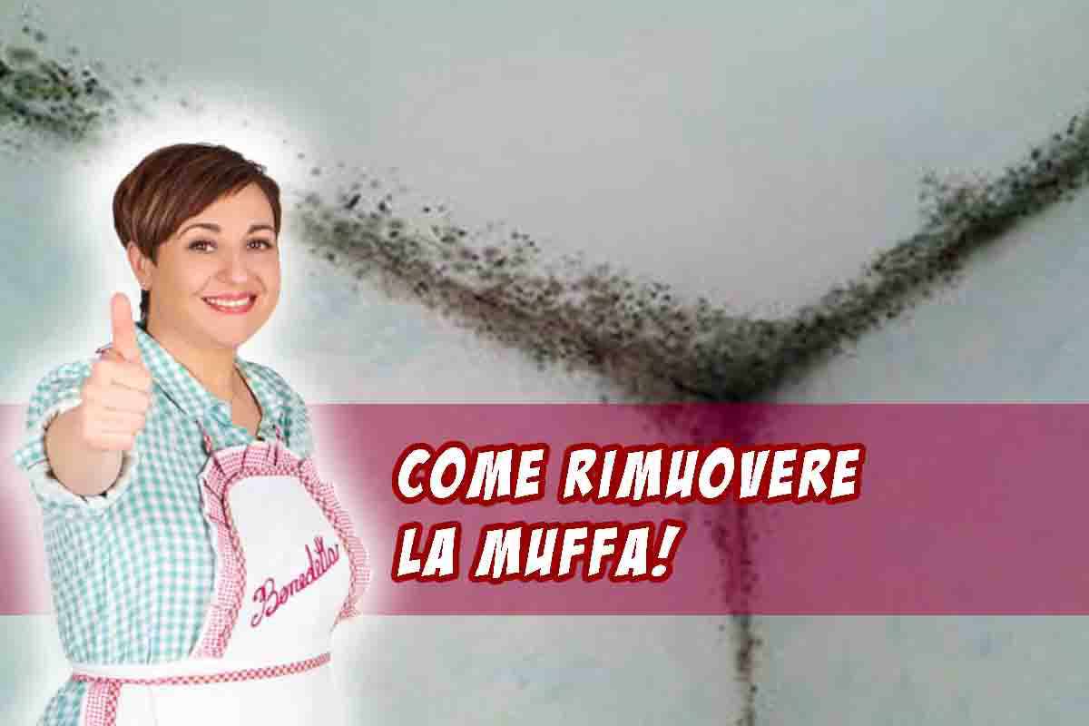 I consigli di Benedetta Rossi per eliminare la muffa